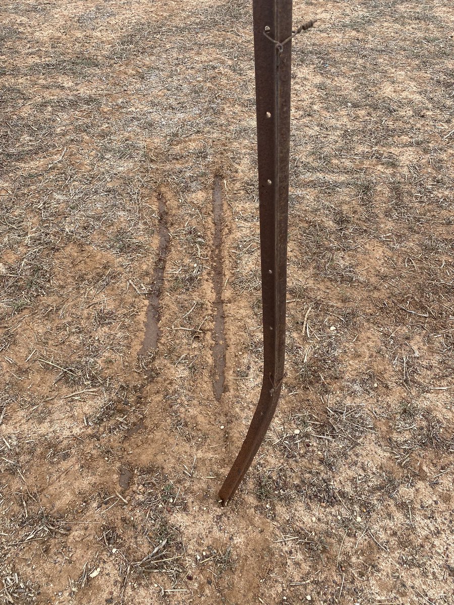 I’ve put out a few Test Strips looking for Reflex Residues prior to sowing Canola after minimal summer rainfall. Looking at the poorer soil types mainly, this paddock has a shallow gravel layer. Canola @ $950+, better make sure. <a href="/zordsinhorsh/">Nick Zordan</a> <a href="/JamesConsi/">James Consi</a> <a href="/adrianking3423/">Adrian King</a>