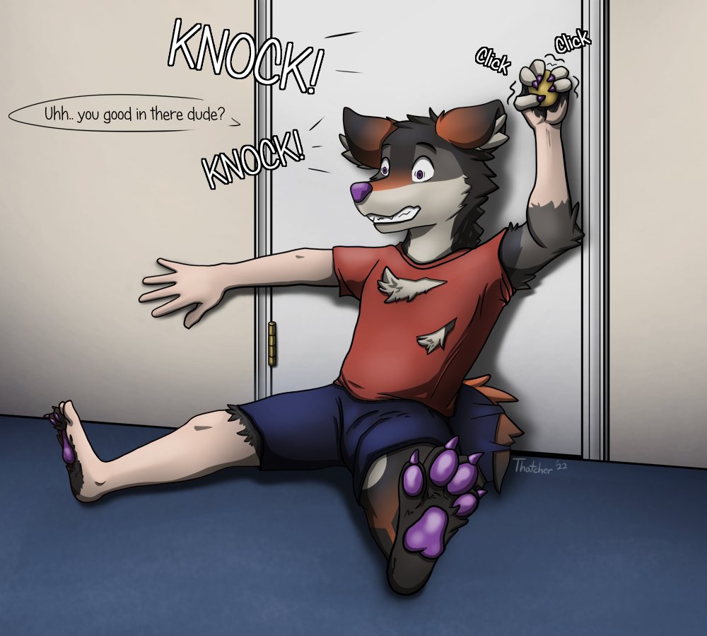 thatchwoof's tweet photo. Knock, knock!

#TFTuesday https://t.co/LmpNpb4Ogo