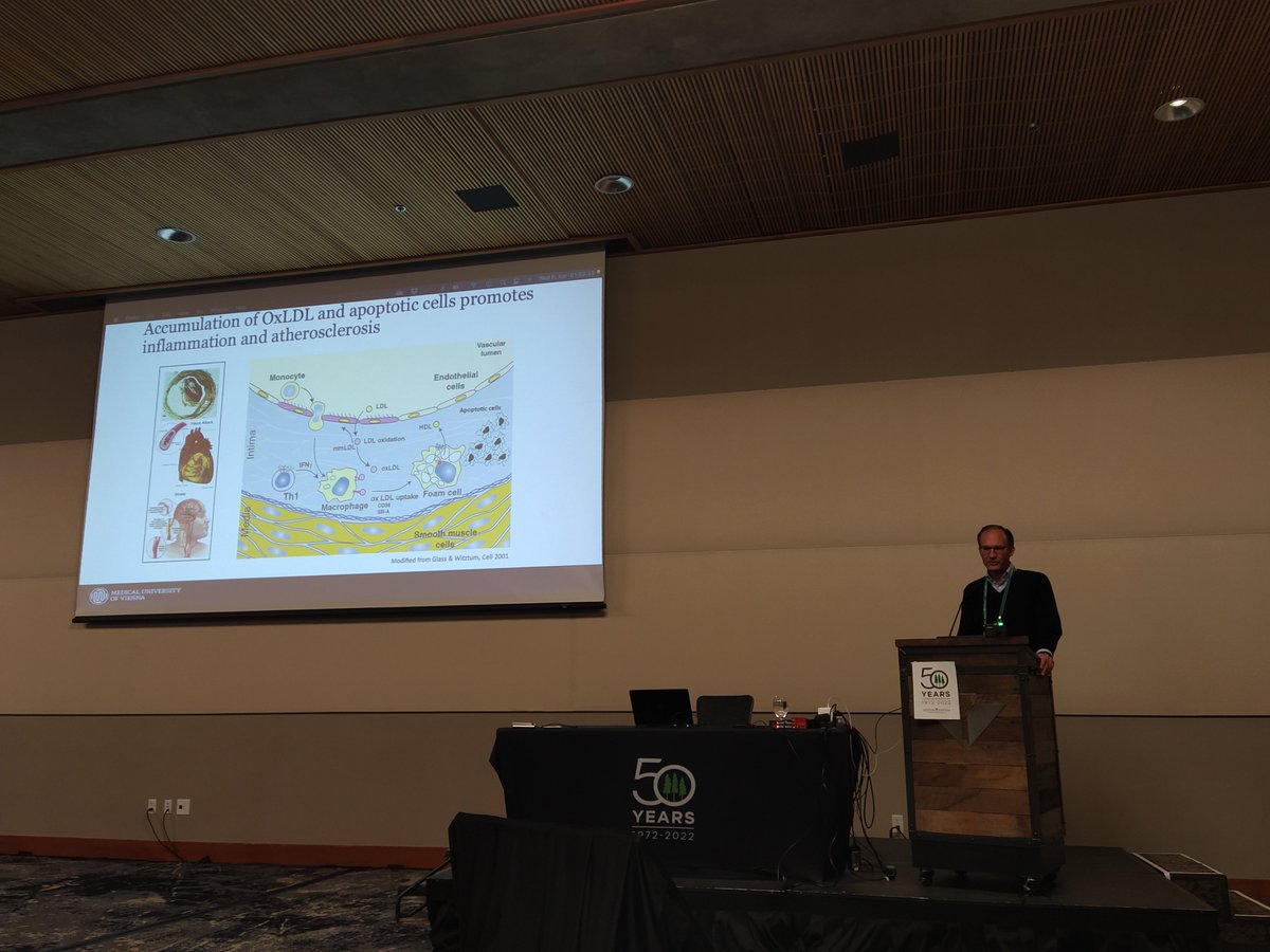 It is a pleasure to co-chair the Mopping up the mess session at #KSIInnateComp22 with Christoph Binder @cj_binder and to hear about the role of macrophages intrinsic FH in atherosclerosis and about C4BP and MDA in dying cells clearance by Nicolina Papac-Milicevic