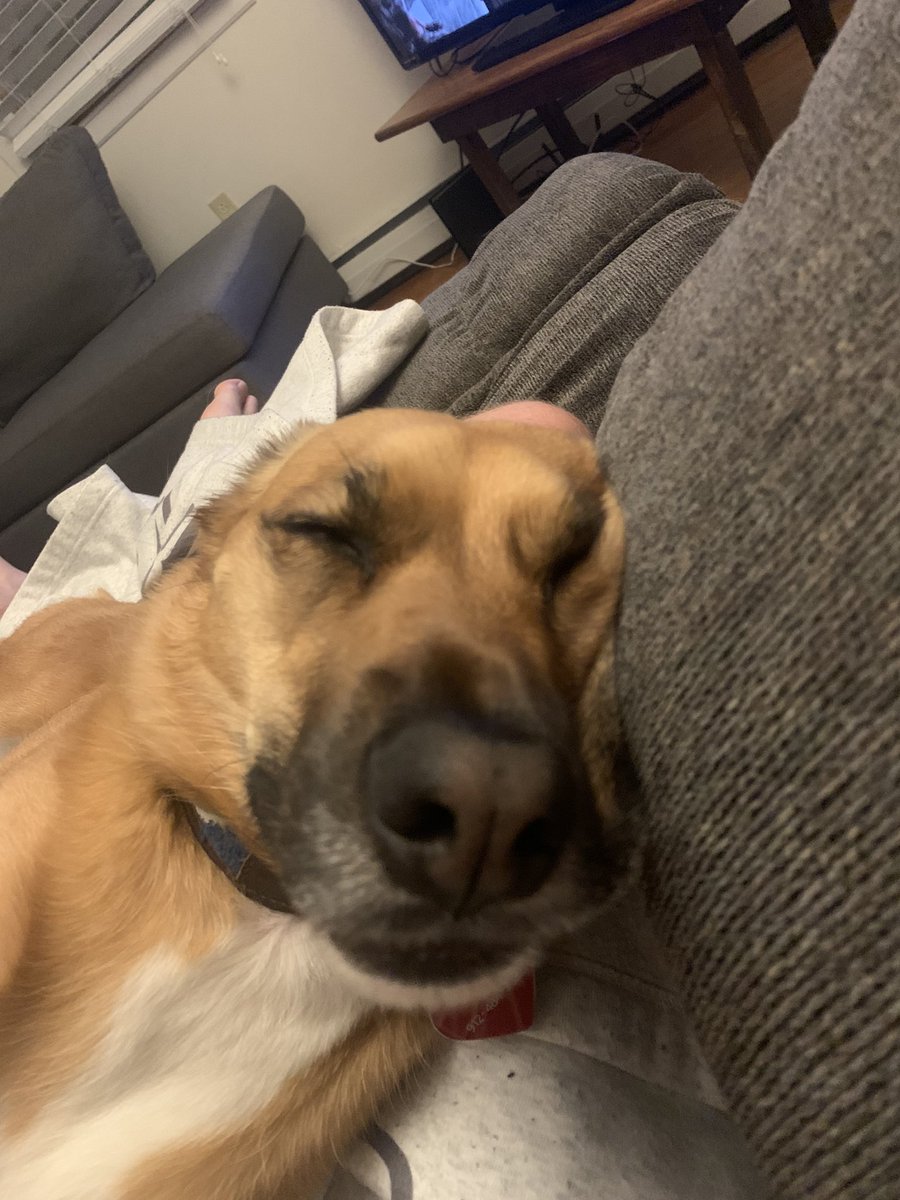 Matty Ice tweet media