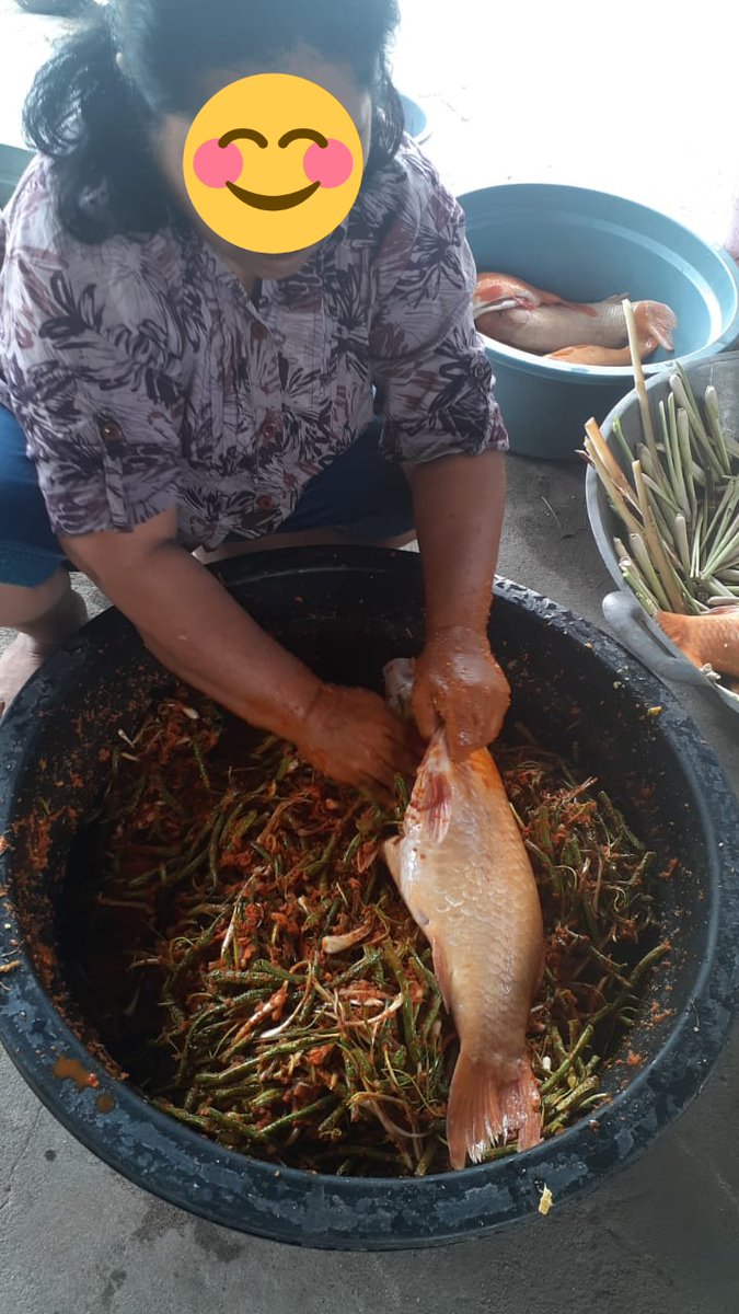 tobingjo's tweet photo. Sepupu gue cewek nikahan di kampung, rasanya pengen ikut di sana. Kalo kawinan di kampung tuh seru, rame banget. Ini kemarin mereka lagi mau masak ikan mas arsik 30kg buat diserahkan ke pihak laki2. Ikan masnya boleh ngambil di kolam sendiri wkwk https://t.co/ZPdYBOyqG1