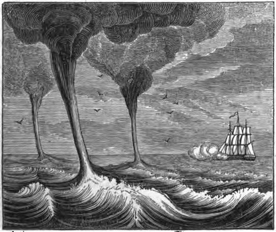 DRAWMcGill's tweet photo. This week on the #DRAWMcGill #blog, we’re returning to the Dawson-Harrington fonds and exploring an especially remarkable #WeatherObservation made by Lady Dawson in 1885! Read it here: https://t.co/CjoYdVFH3m 🌪💦 https://t.co/DLL3QqOlMO