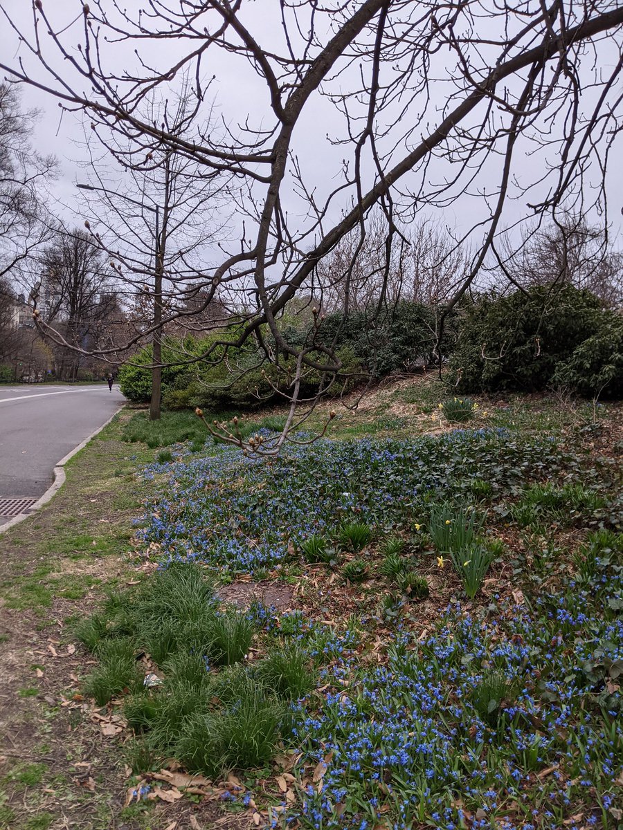 RMBTcardioMD's tweet image. The pop of blue helped put some gas in the tank 💙
🏃🏾‍♀️💨 #runner #Cardio #movemoresitless #mentalhealth