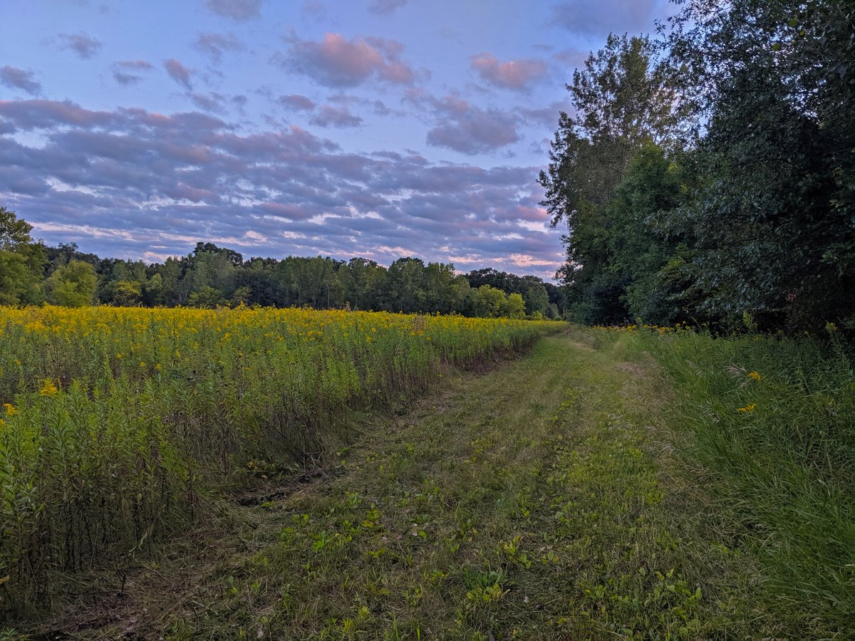 Adventuringgal's tweet photo. @CharlesMcCool @Giselleinmotion @perthtravelers @Touchse @FunInFairfax @suziday123 @AngelaMDiLoreto @LindaPeters64 @HeidiSiefkas @eatlivestay @DarleyNewman @LoriMoreno @FitLifeTravel @VisitVirginia Your & Julie's pictures of #Virginia make me want to hightail it over!
My home is in #Minnesota-- some of my faves: the North Shore, spring wildflowers, farms & Mississippi paddleboats!
#Top4Theme #Top4Home with hosts @Giselleinmotion @perthtravelers @Touchse @CharlesMcCool https://t.co/I35wGpSbd1