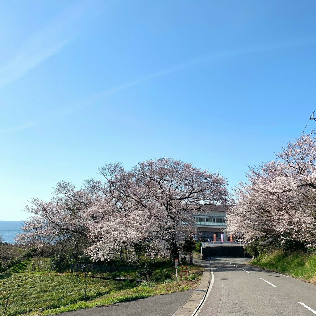discoverechizen's tweet photo. #福井 #越前海岸 #越前海岸盛り上げ隊 #fukui #echizen #discoverechizen https://t.co/kL8xMIeI3b