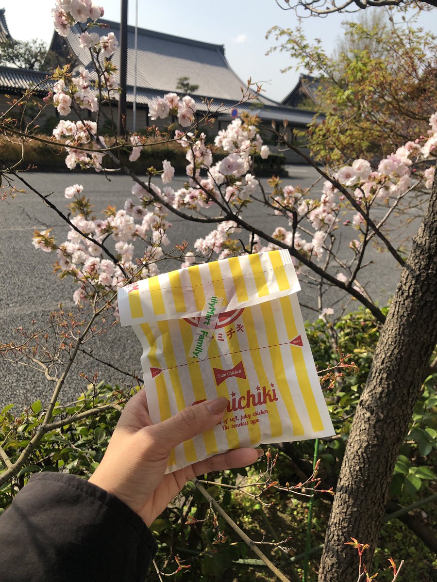 deeenthelion's tweet photo. Famichiki and some sakura on my way home 🌸☺️ https://t.co/kDZIEAy52T