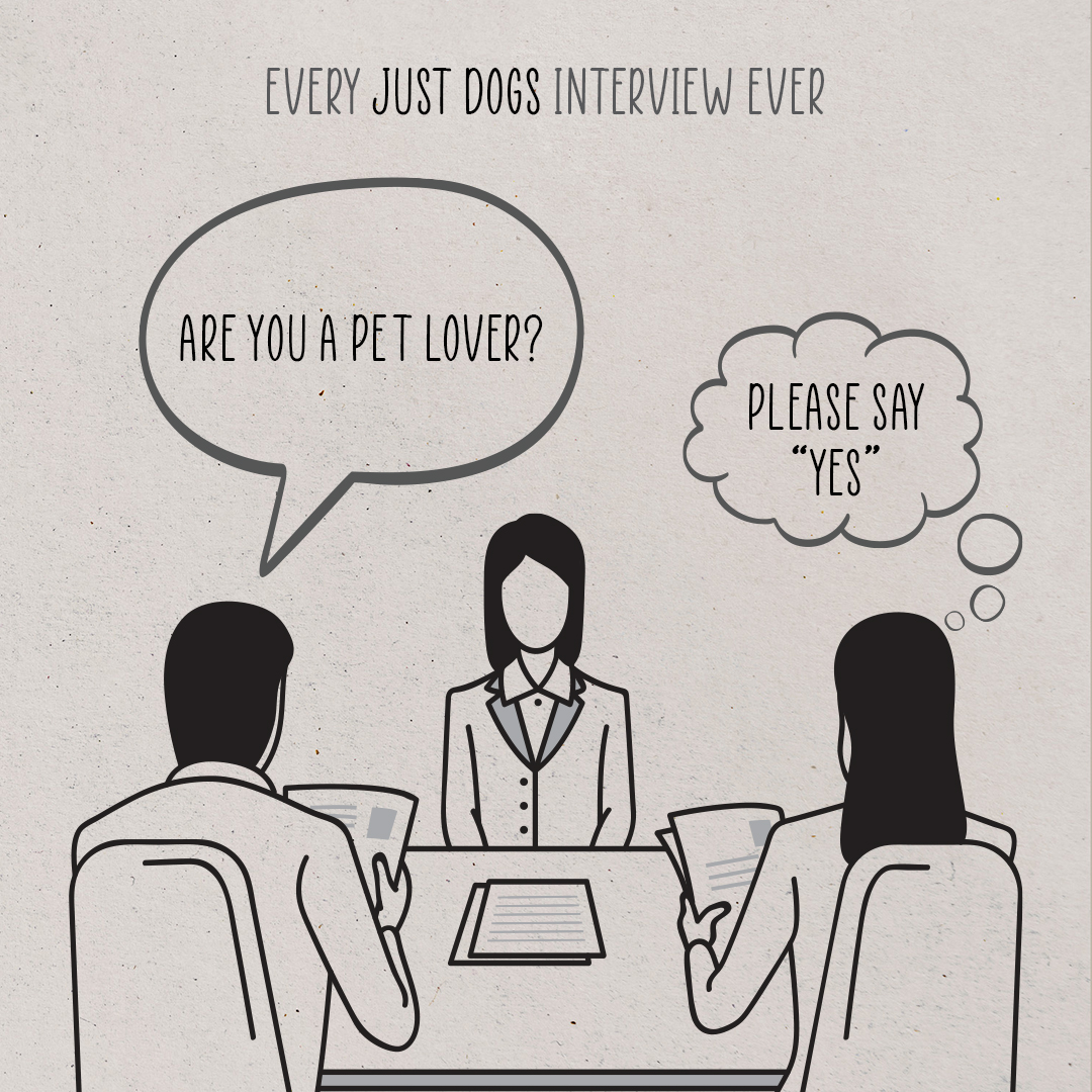 justdogsindia's tweet image. Every Just Dogs Interview Ever!

#justdogsindia #justDogs #ilovejustdogs