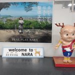 やまわけのツイート画像