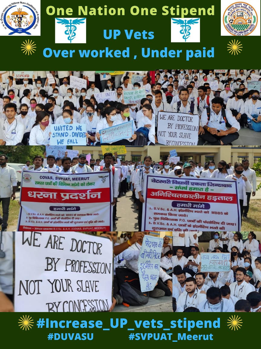 1000 में दम नही,MBBS से कम नही
#Increase_UP_vets_stipend
#Duvasu_Vet_Stipend #SVPUAT_Meerut 
<a href="/ANINewsUP/">ANI UP/Uttarakhand</a> <a href="/News18UP/">News18 Uttar Pradesh</a> <a href="/Ukm24News/">UKM24 NEWS CHANNEL</a> <a href="/dharampalbjpmla/">Dharampal Singh</a>  
<a href="/myogiadityanath/">Yogi Adityanath</a> <a href="/PMOIndia/">PMO India</a> <a href="/presidentVCI/">Dr. Umesh C Sharma</a> <a href="/PRupala/">Parshottam Rupala</a> <a href="/drsanjeevbalyan/">Dr. Sanjeev Balyan</a> <a href="/rakesh22440/">Dr R K Shukla</a> @dmmathura7512 <a href="/ptshrikant/">Shrikant Sharma</a>  <a href="/ncbjp_laxmi/">Laxmi N Chaudhary</a> <a href="/Chirantan200/">Dr.Chirantan Kadian</a>