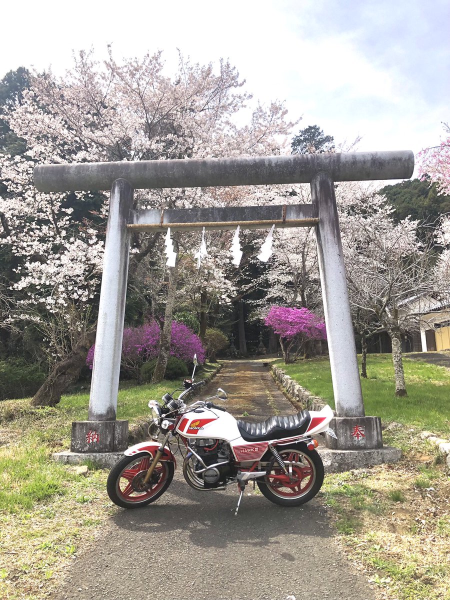 K2_DPD's tweet photo. 桜散る前に https://t.co/BTiTCJIb6E
