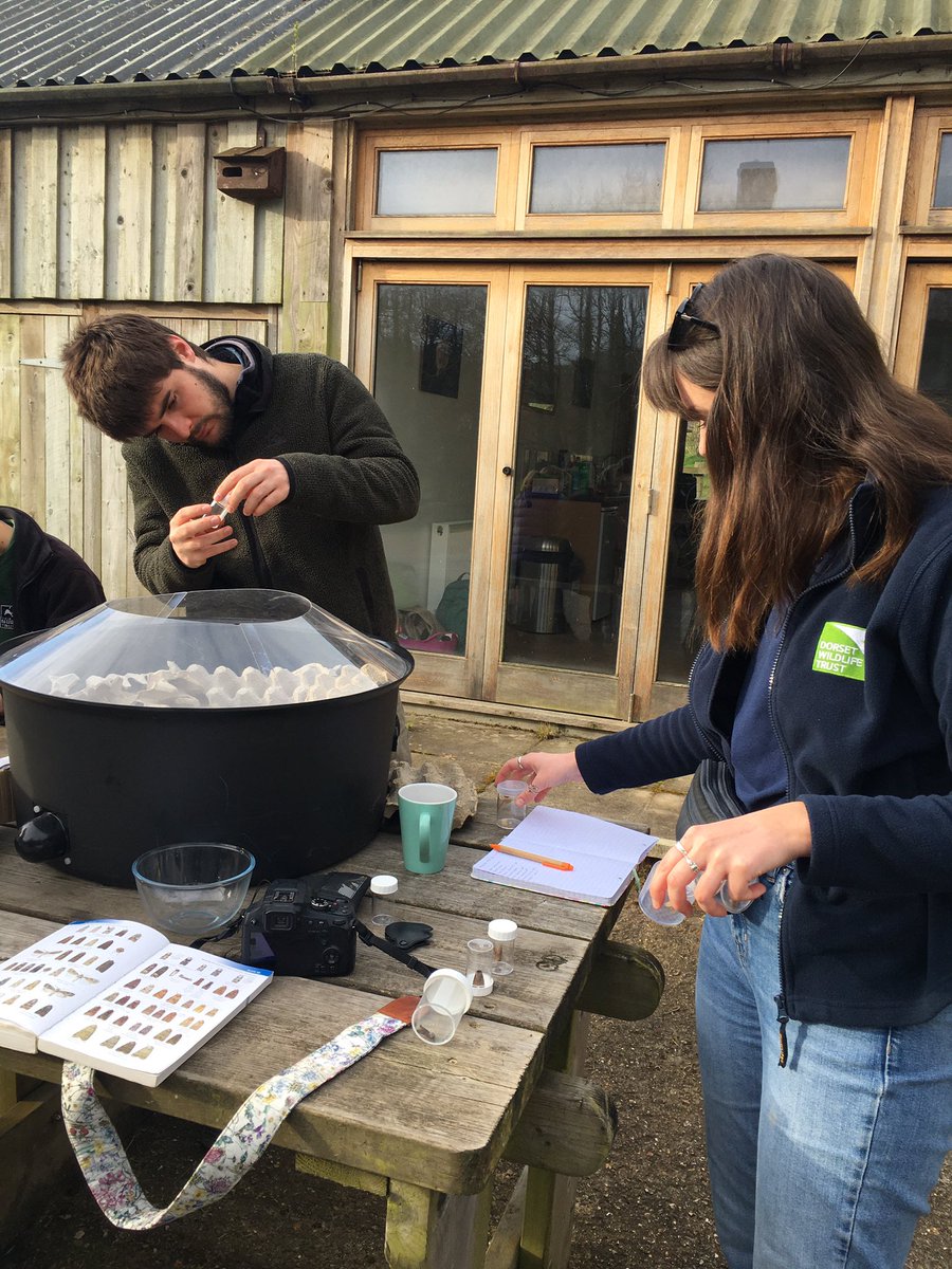 wild_paths's tweet photo. Early morning moth trapping @DWTKingcombe for our Wildpaths trainees @SomersetWT @avonwt @DevonWildlife @DorsetWildlife @WiltsWildlife https://t.co/1YDgfOzO6c