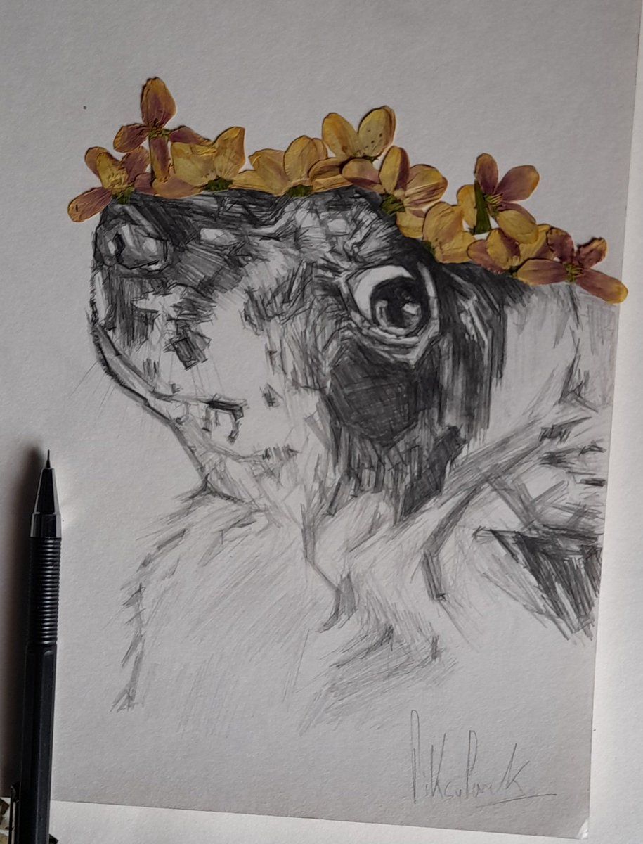 piksypark's tweet photo. Sketched my friends dog 🐩 isn't she cute 🤍🌼 #pencilsketch the flowers are real btw ✌🏼 https://t.co/kuzI28eq29