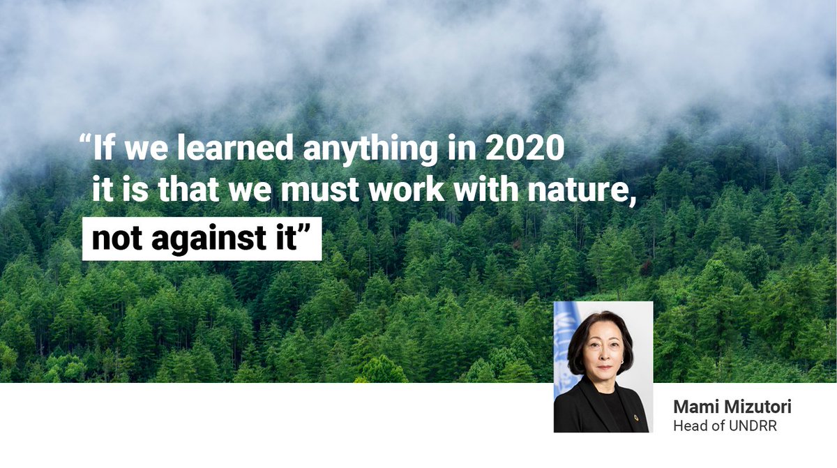 UNDRR's tweet photo. How can Nature-based Solutions help us deal with the worst impacts of #ClimateChange? And can they play a role in protecting us from biological hazards such as the #COVID19 pandemic? Find the answers on our new #WordsIntoAction page: https://t.co/WZ4GDjc0GG https://t.co/bBx73lWkqT