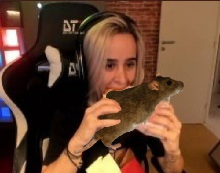 Tomate9856's tweet photo. Compilado de fotos da @Moonkase comendo/bebendo/com ratos:

@MoonKase @GoabaGatao @Maplezinho @arrozante @Jvnq @helayyla https://t.co/VRytUtnDad