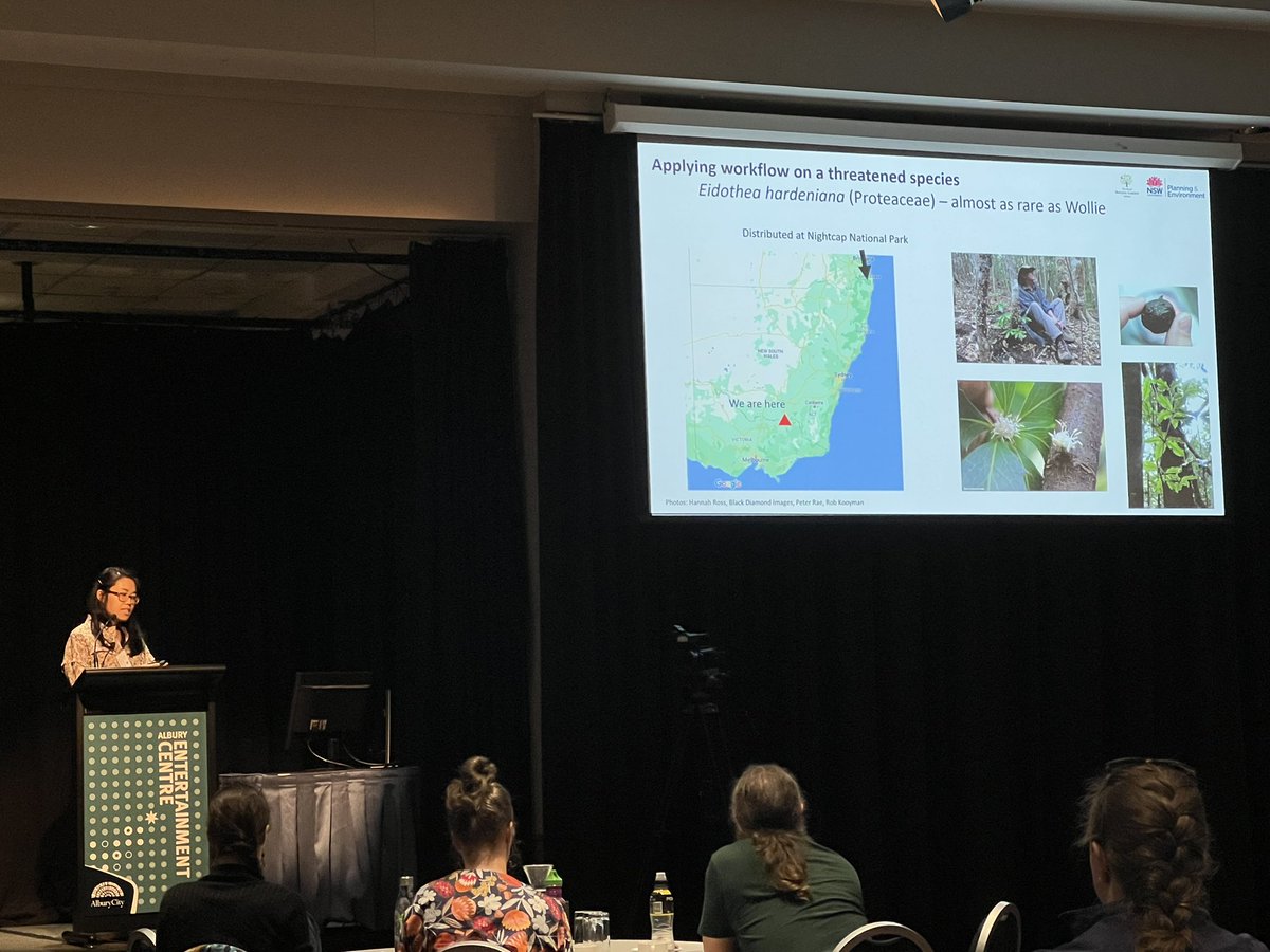 SeedPartnership's tweet photo. @SamanthaYap1231 presenting on how conservation genomic research has improved our understanding of the impact of #BushFires on the #CriticallyEndangered #EidotheaHardeniana including how representative the ex situ collections are @AustralianBG @NSWDPE #APCC13 @ANPlantC https://t.co/BybpEzCUCy