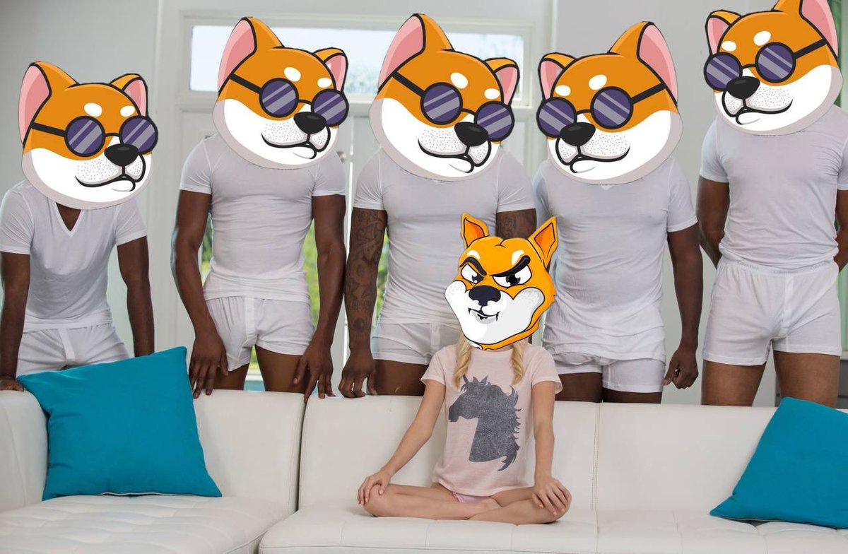 SANININU's tweet photo. This is only the beginning and we have our eyes set on a single goal...

#SHIB #SHIBA #SHIBARMY #SANIN #SANINARMY @Shibtoken https://t.co/bWdNjCuDIS