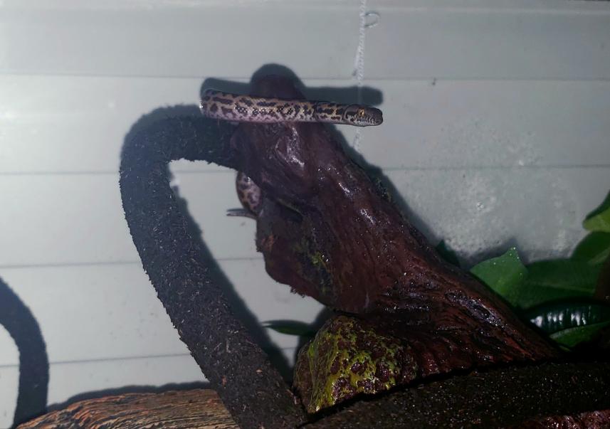 Bill🤘 tweet media