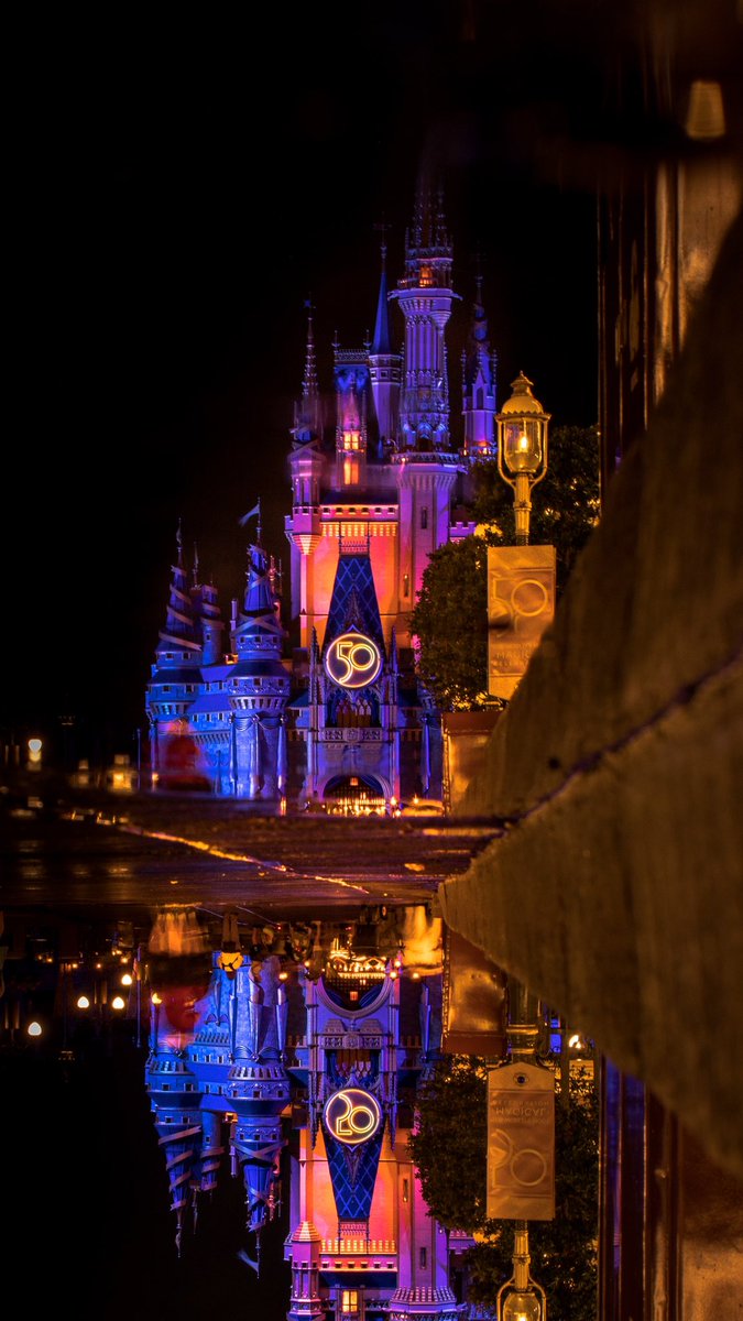 AntDiFilippo's tweet photo. I actually flipped this photo upside down the with #reflection of Cinderella Castle at @WaltDisneyWorld on top. Did you notice it at first?   #WaltDisneyWorld #disneyworld 
#disneyphotography https://t.co/7lx14NyE0h