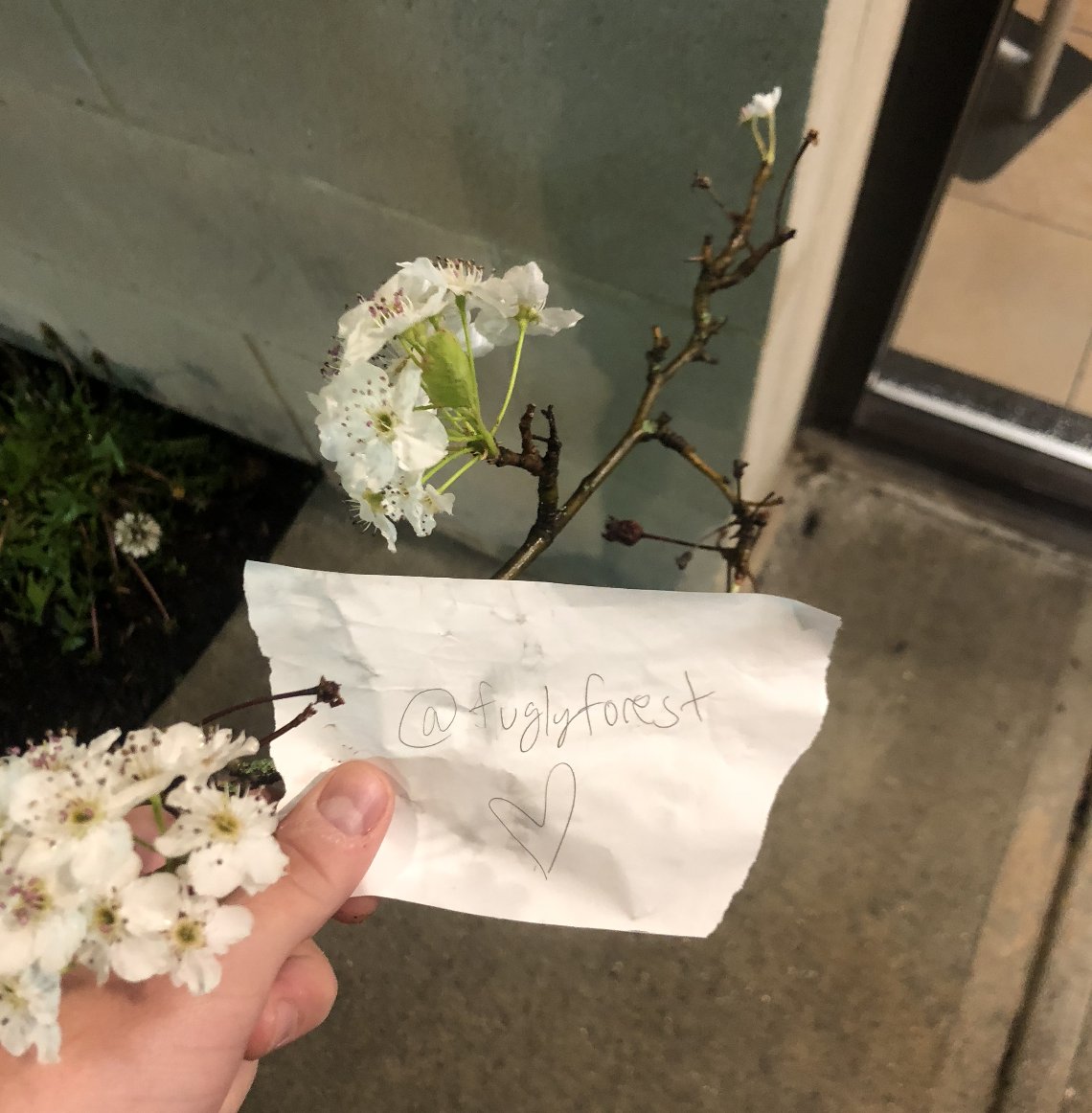 Here's an example entry for the second FREE MINT CHALLENGE

@fuglyforest
 freemint challenge 2

join our discord for a head start on challenges! discord.com/invite/Snksysr

Setting the bar high to start it off ;)