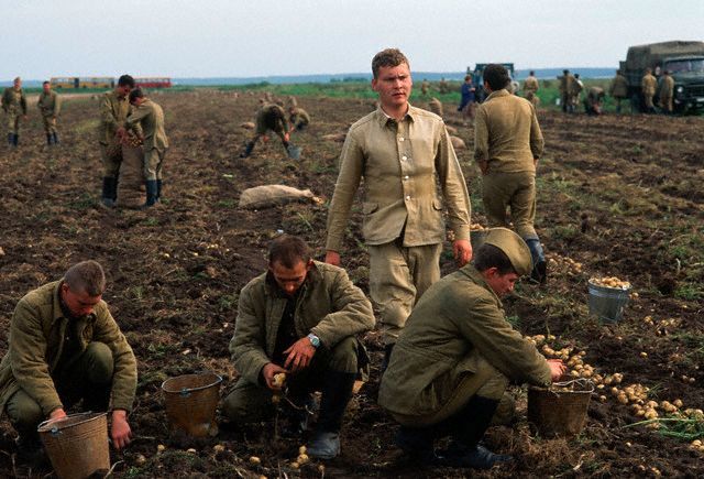 Apart from waging the nuclear war, Soviet army had other functions as well. One of them was - picking potatoes. I mean it both literally and metaphorically. The military had to fill any gaps in Soviet economy and in labor market they were ordered to fill. They would pick potatoes