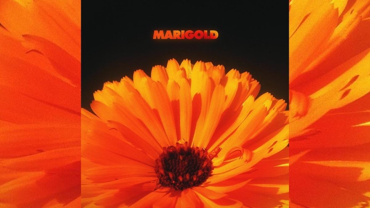 SoulBounce's tweet photo. LISTEN: @LoveAlexIsley &amp; @jackdine Deserve Their Flowers With ‘Marigold’ 💐 https://t.co/I0GEyjcHLc

#AlexIsley #JackDine #Marigold #SoulBounce #music https://t.co/GV6NBCYJx6
