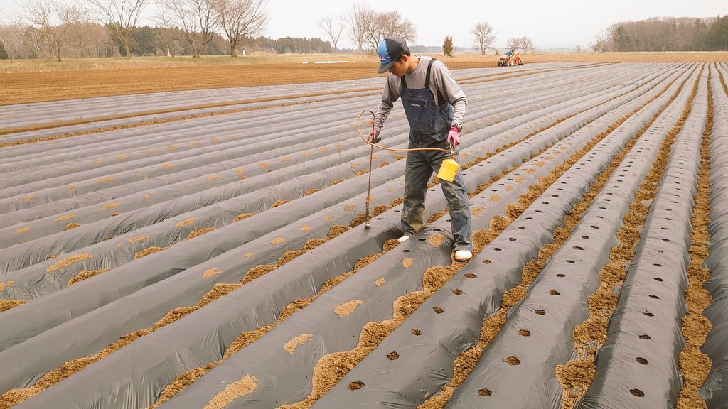 CreaCrops's tweet photo. レタスの植え付け開始(* ∂ω∂*`)⁡🌱⁡
⁡植える人、マルチを張る人、マルチに穴を開ける人、定植の指導をする人⁡
⁡みんながんばれー( ੭˙꒳ ˙)੭❤︎⁡ https://t.co/ld99hZGK9g