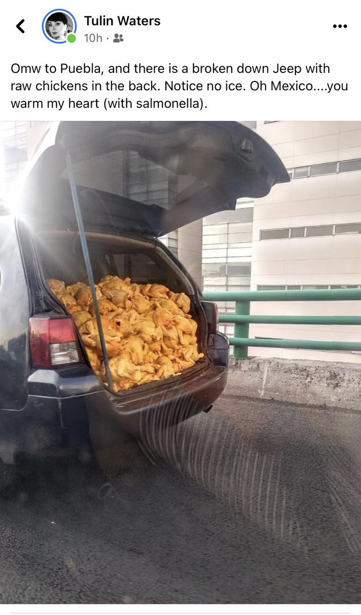 qdobagoodingjr's tweet photo. Top rope post on FB today. Nobody beating this one. #chickencar https://t.co/cYO9SgI47r