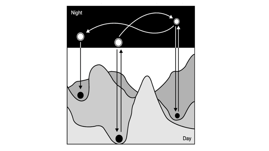 In the workshop on the creative scientific process at NYU, we discussed how to search for new questions (particularly by finding contradictions), how to use anthropomorphisms and interdisciplinary thinking to generate new ideas, and how hypotheses can be a liability.🧵of 🧵's ⬇️