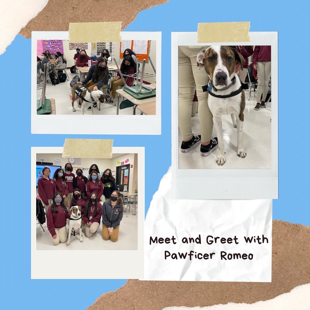 We had such a blast with Pawfficer Romeo!! Thank you to everyone who came 😊 and thank you to Pawfficer Romeo of course!! ❤️