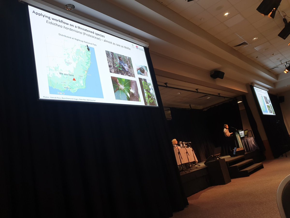 SeedingVictoria's tweet photo. #APCC13 @ANPlantC Samantha Yap presenting the impacts of the 2019/2020 fires on the already limited genomics of Eidothea hardeniana, and if ex situ collections were representative of the wild population https://t.co/UbfcmoS54T