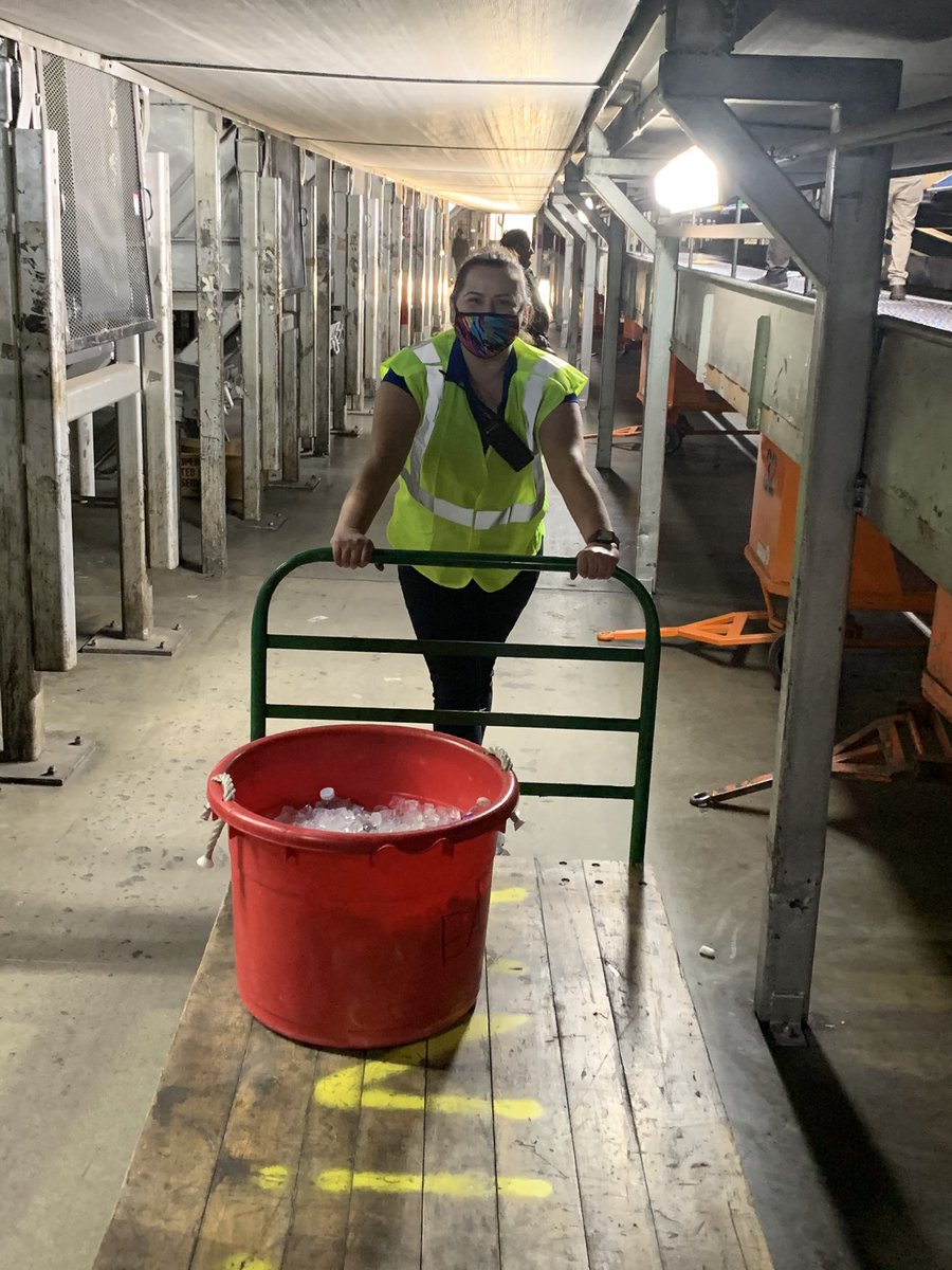 Jose Aguirre tweet media