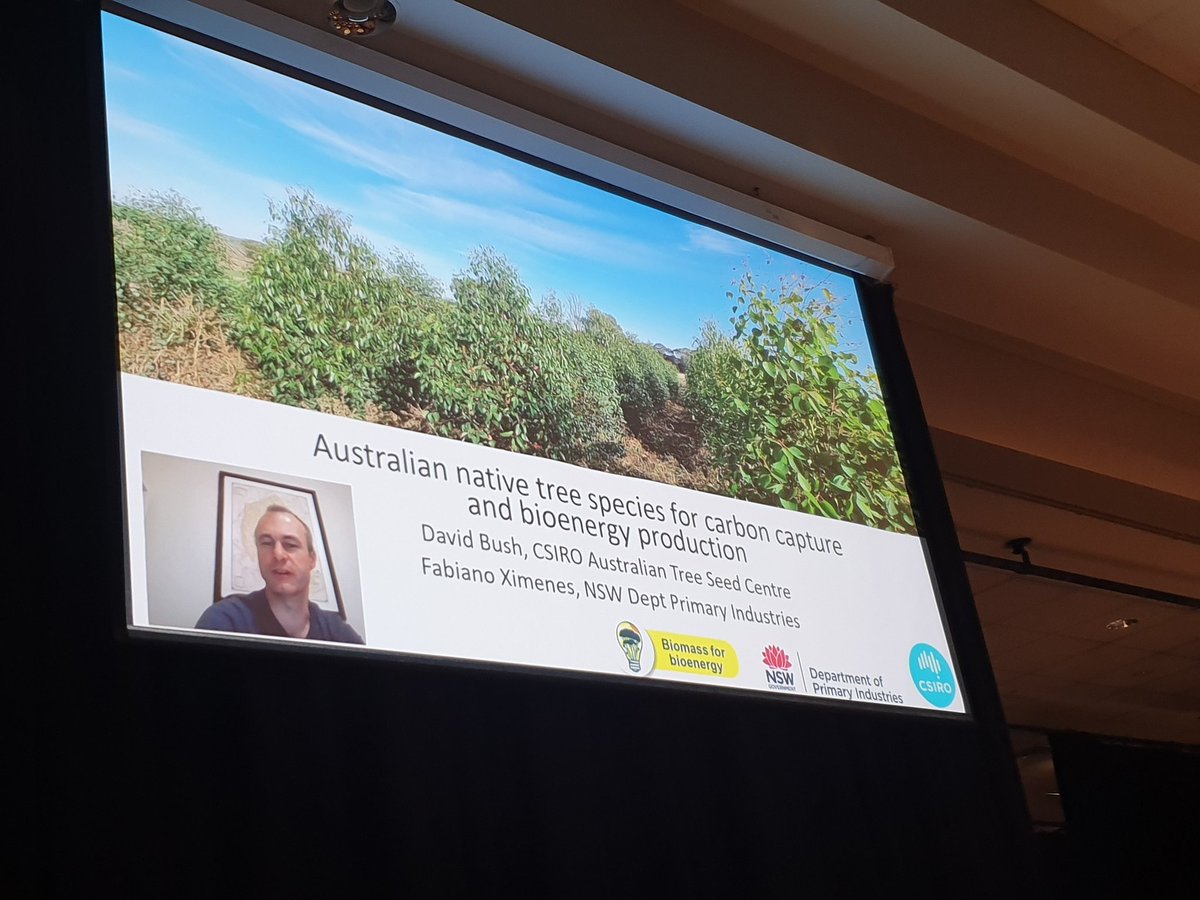 SeedingVictoria's tweet photo. #APCC13 @ANPlantC David Rush and CSIRO research looking into native tree species for carbon capture and bioenergy production - scope for more species, including threatened species. https://t.co/lm2C2ExBqp