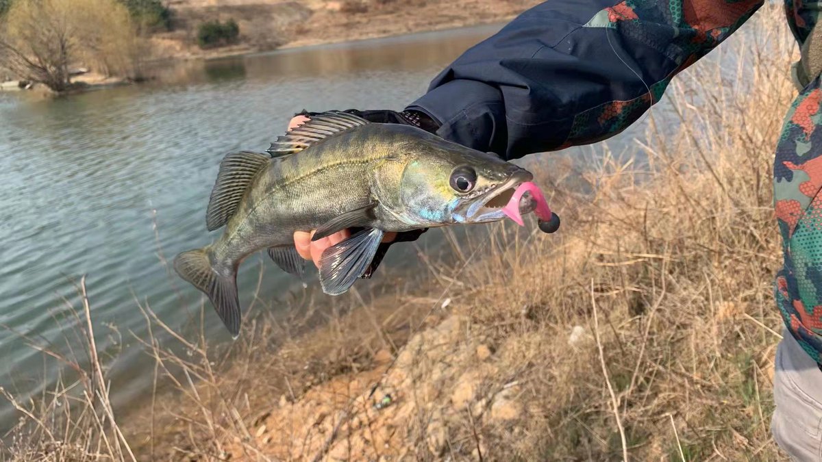 Lureleader's tweet photo. The fishing season is back. 😜🙈🍃🎏🎊 https://t.co/XljCLRzvEV