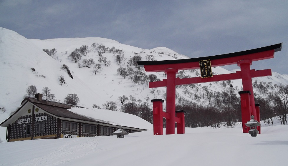 八王子のわたりん M63gtew4w35itk4 Twitter