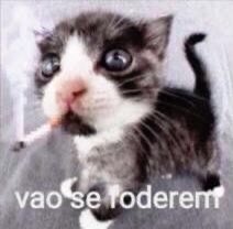 lau tweet media