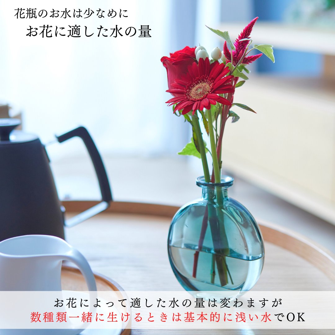 Bloomee Twitter Search Twitter