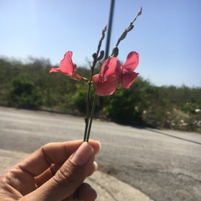 zo_tattoo22's tweet photo. #NuevaFotoDePerfil https://t.co/qFDjBu6SM5