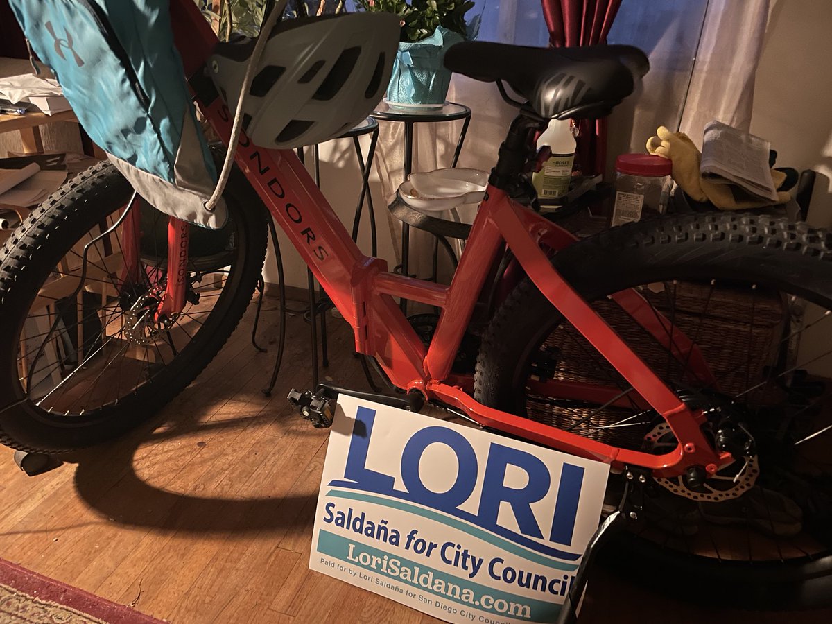 Developed a carbon-free neighborhood sign delivery system. 

They fit perfectly in the backpack. #lori4sd