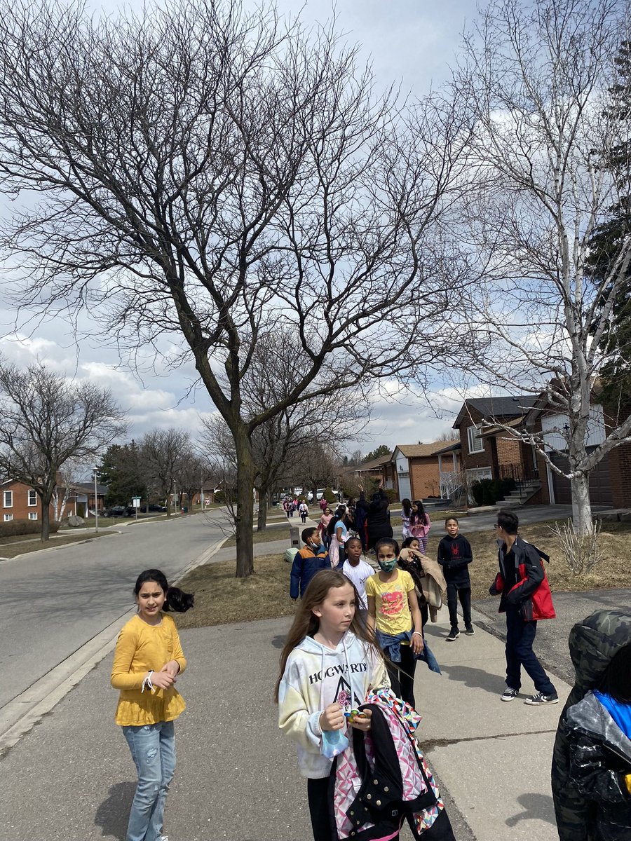ret1974's tweet photo. And the @MasseyStreet_PS #2KLoop begins again! #gettingactive #buildingendurance #alltogetheragain #freshair #outdoorfun #increasingBDNF @PeelSchools @Bunmiomiyale @hpe4pdsb https://t.co/qWVUsYnnyw
