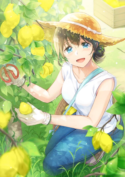 🍋🍋🍋 