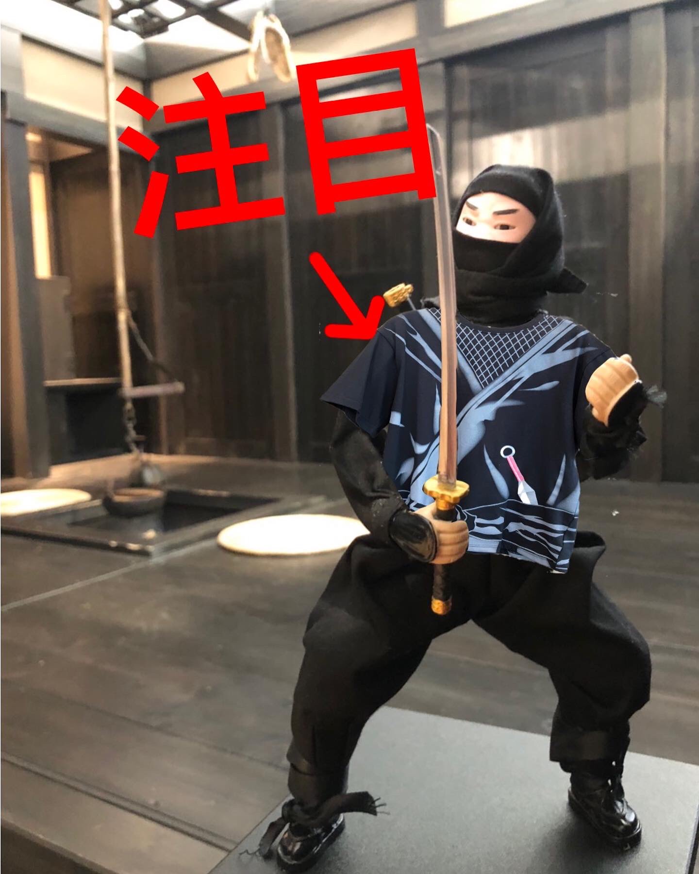 Ninja Informationcenter Osaka Al Twitter こんにちは ご覧ください かっこいいデザインですね そろそろ夏 やってくる 夏の忍者ファッションいかがですか 各サイズ揃ってます ぜひ エディオンなんば本店八階忍者屋敷へ お待ちしております
