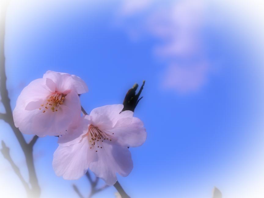 公式 絶景ジャパンｌ日本の絶景 観光地を再発見 旅の目的地選びに Zekkei Jp Twitter