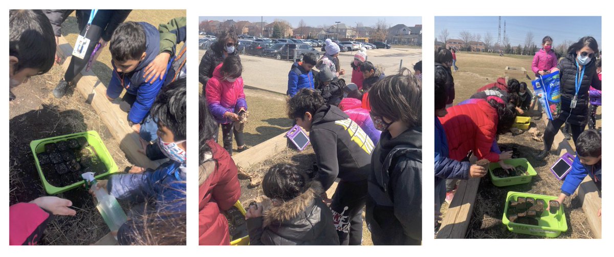 levi_creek's tweet photo. Through planting, Grade 3 students @levicreekps had a fun introduction to Native plants and how they help the environment. Thanks to @TRCA_HQ  for the seeds, cells and soil. Can’t wait to welcome butterflies and birds and learn how they grow/interact with each other. @PDSB_eco https://t.co/LTU0M4dia9
