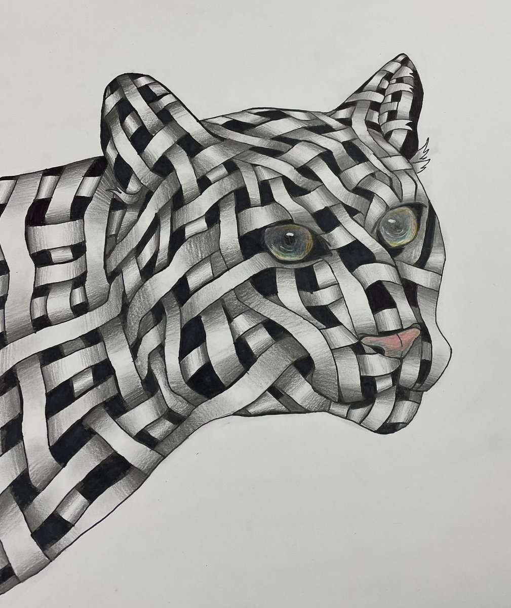 The_MrsRainey's tweet photo. ROARRRR!! πΎπ― Art 2 is cruising right on through this #crosscontour beastie lesson! #wowjustwow ππΌππ¨β¨
.
#FISDFineArtsLeads #InTheArtRoom #OurFISDStory #MiddleSchoolArt #VandyVision https://t.co/g2Vj1Ubg9b