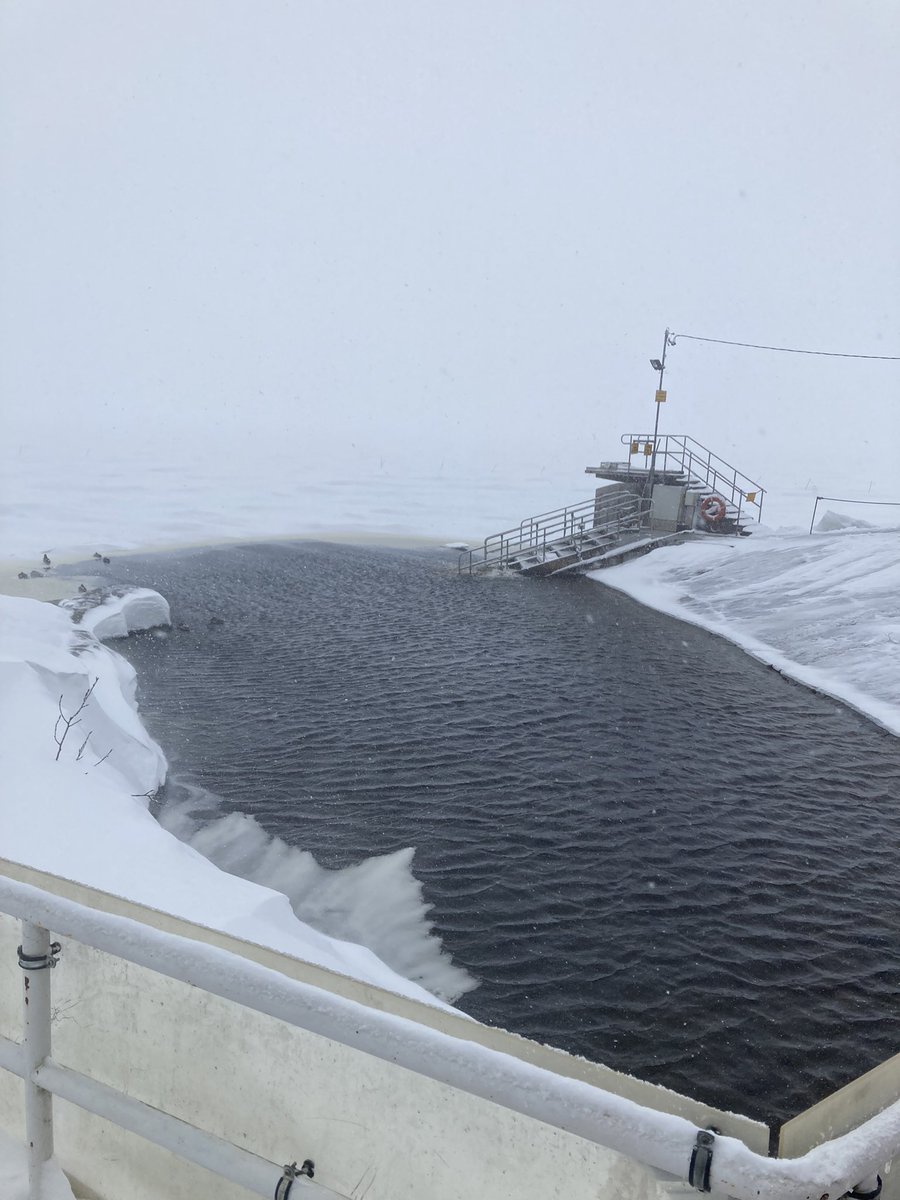 Yap, that’s what we are experiencing here 😅 #eyeontamk #tamk #tamkinternational #internationalweek #RDI #lovethis