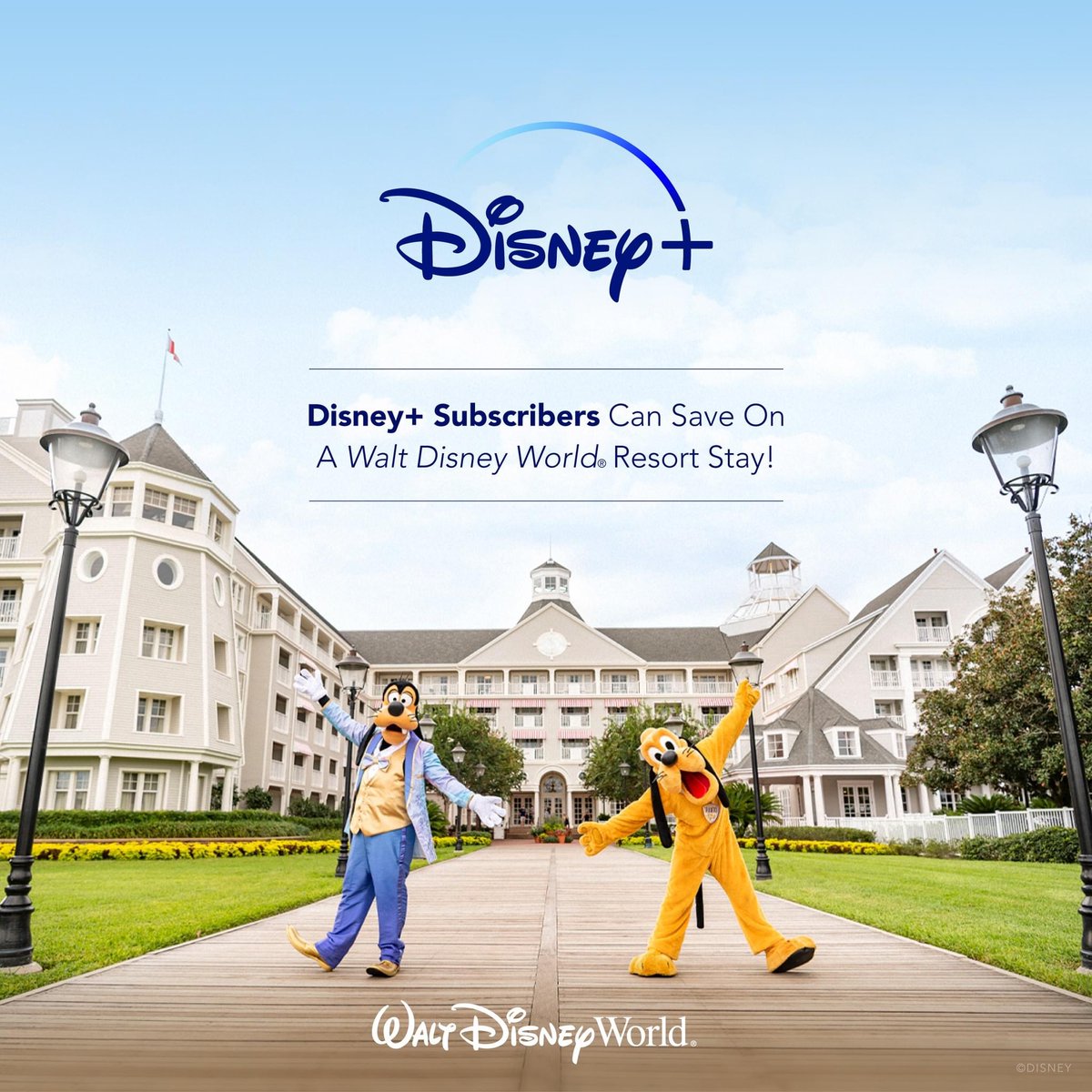 l_starzyk's tweet photo. Who doesn’t love a good #Disney #promotion ?!

Calling all #DisneyPlus Subscribers!

Email me to book your next trip with a discount

Lstarzyk@dreamingofthemouse.com

No charge for my services! 

#summer #orlando #discountoffer #Travel #booknow # https://t.co/JVMRBt2Pn6