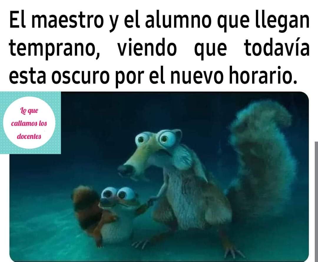 Lo que callamos los docentes - Jajajajajaja