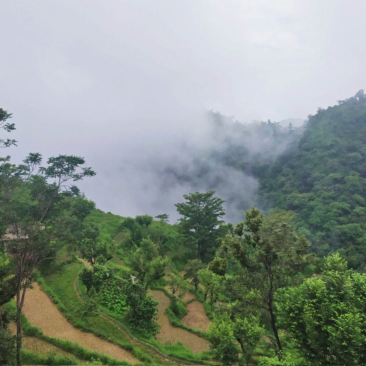 GauravShapal's tweet photo. Analysis of water conservation &amp; utility system in "Prasala" village, Himachal Pradesh. Most of the populace is dependent on natural rain water. A/c I developed "Water Conservation &amp; Utilization System" to have proper water distribution to soil. Its design is accepted.

#SaveSoil https://t.co/tcIOkDsnP6