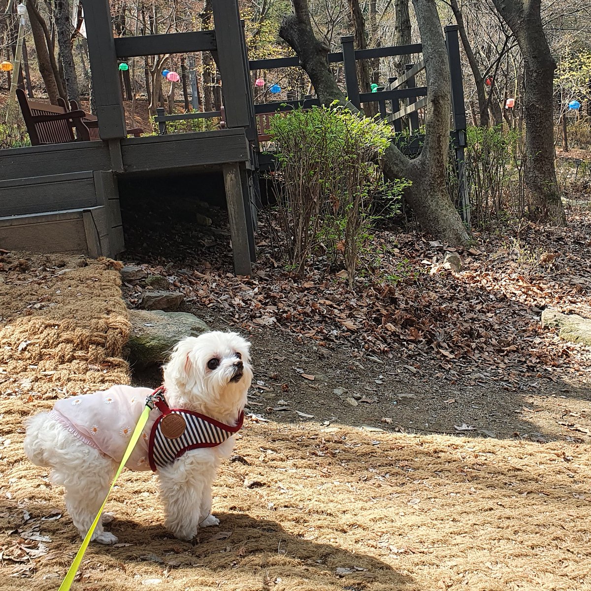todaypopcorn's tweet photo. 새소리가 나요 https://t.co/PKhU4Cdmbf