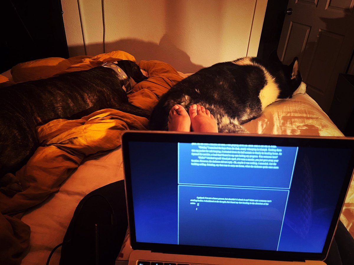 MorbidForest's tweet photo. Writing is always better with friends. Who are your writing support friends? #writing #podcastscript #creatingcontent #writewithme https://t.co/LDFqfz8BrS